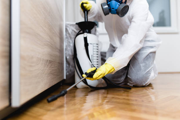 Best Ant Control Services  in Upper Lake, CA