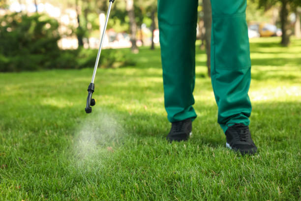 Best Affordable Pest Control Services  in Upper Lake, CA