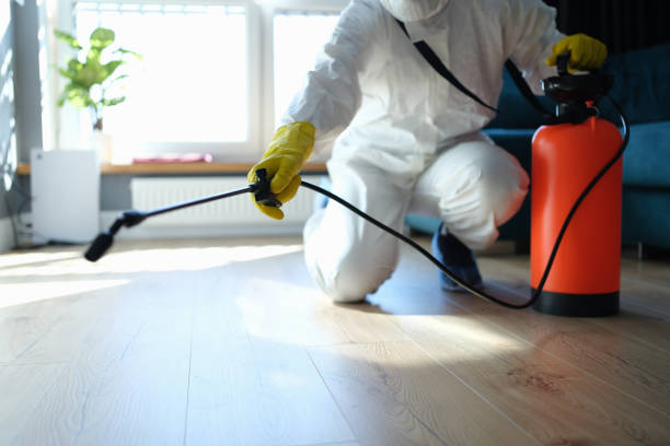 Best Pest Prevention Services  in Upper Lake, CA