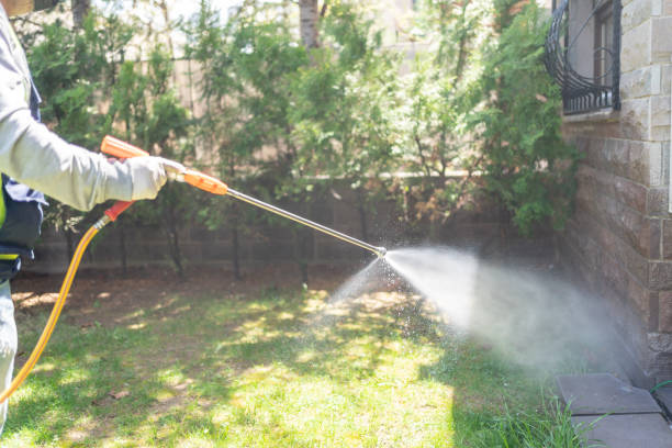 Best Best Pest Control Near Me  in Upper Lake, CA