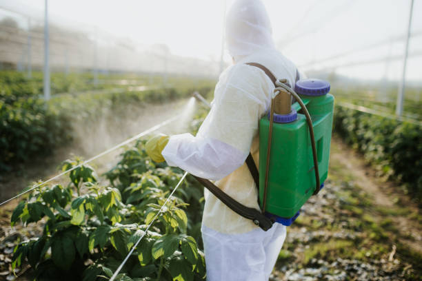 Professional Pest Control in Upper Lake, CA